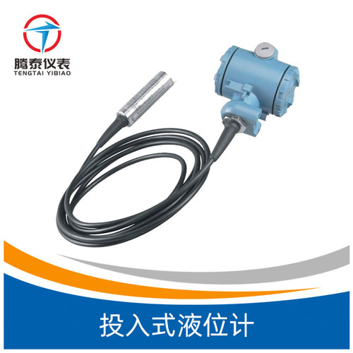 投入式液位計(jì) 投入式液位計(jì)